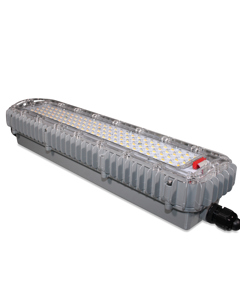 Lamp Zeus LED GEN2 UL cool/warm IP67 lens optics 32.5W 50/60